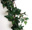Murgrönegirlang - 7 cm blad