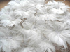 Fynd! Birdcage med blomma Ivory - bild 1