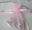 Organzapåsar Rosa 10-pack