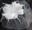 Birdcage med blomma Ivory